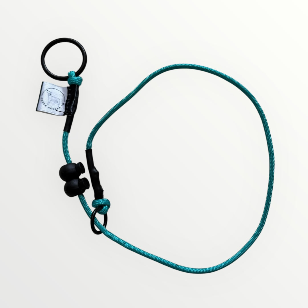 Turquoise Dog check collar / grot collar / slip collar / slip lead