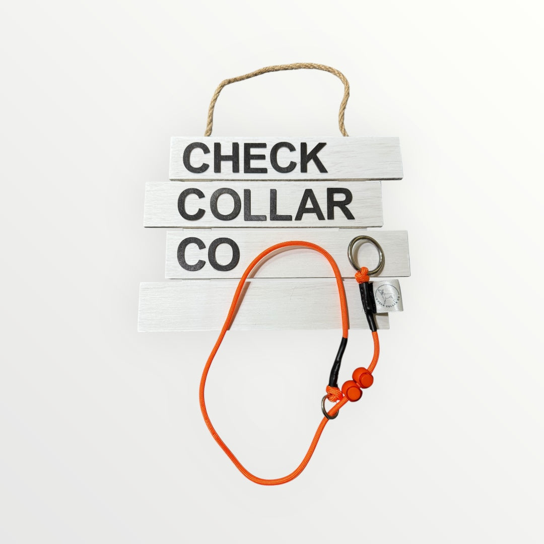 Orange Dog check collar / grot collar / slip collar / slip lead