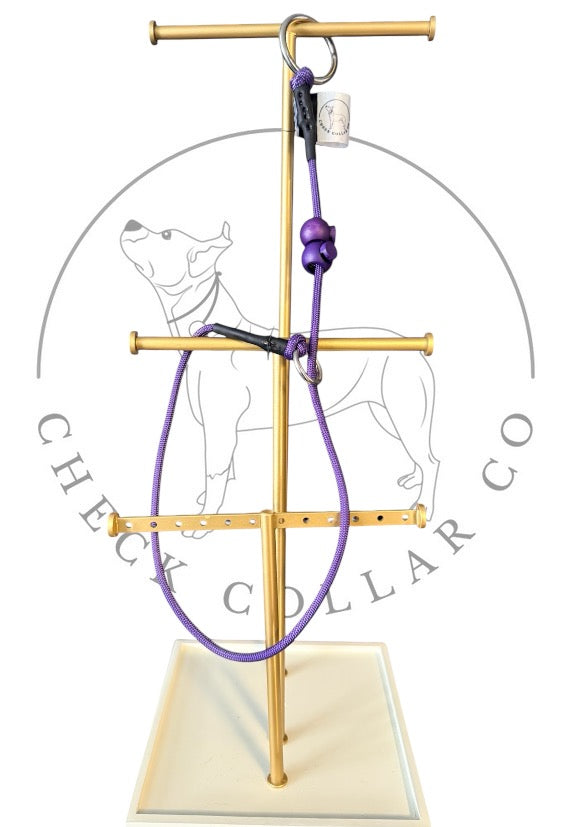 Purple Dog check collar / grot collar / slip collar / slip lead