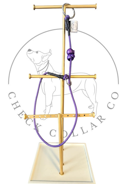 Purple Dog check collar / grot collar / slip collar / slip lead