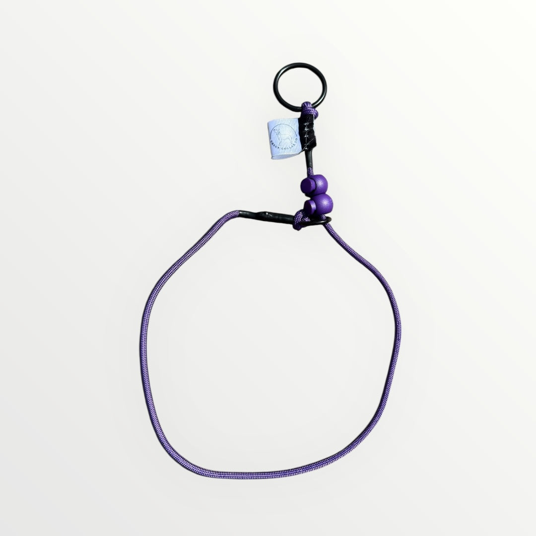 Purple Dog check collar / grot collar / slip collar / slip lead