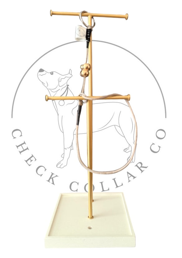 Tan Dog check collar / grot collar / slip collar / slip lead