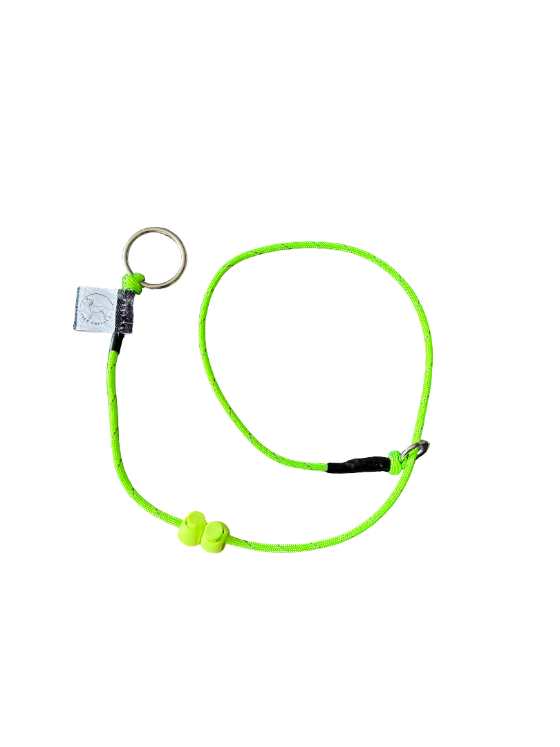 Green hi-vis Dog check collar / grot collar / slip collar / slip lead
