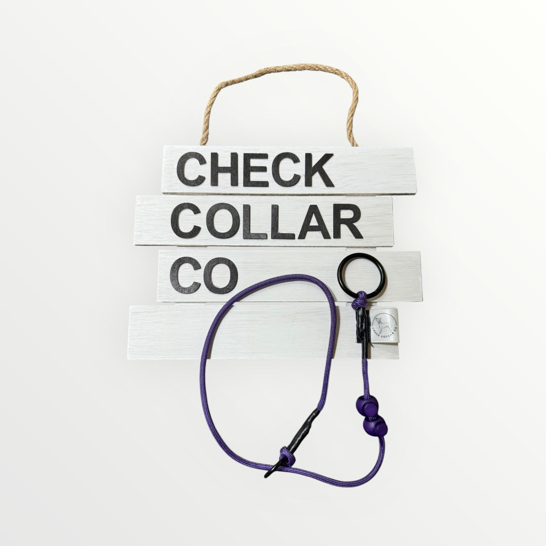 Purple Dog check collar / grot collar / slip collar / slip lead