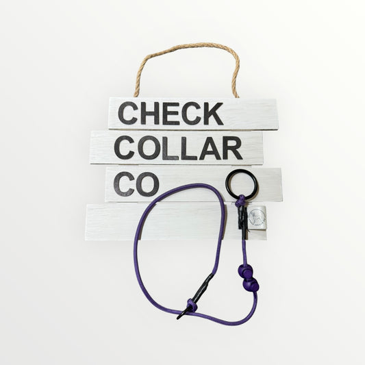 Purple Dog check collar / grot collar / slip collar / slip lead