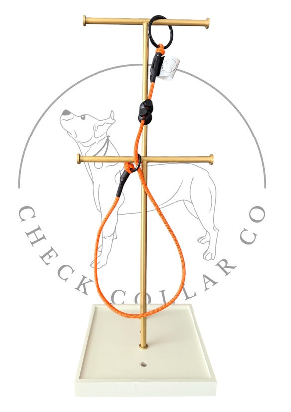 Orange Dog check collar / grot collar / slip collar / slip lead