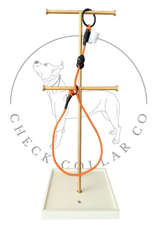 Orange Dog check collar / grot collar / slip collar / slip lead