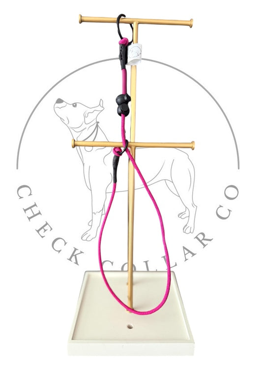 Fushia Dog check collar / grot collar / slip collar / slip lead