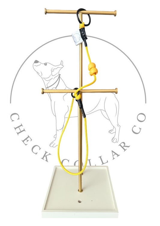 Yellow Dog check collar / grot collar / slip collar / slip lead