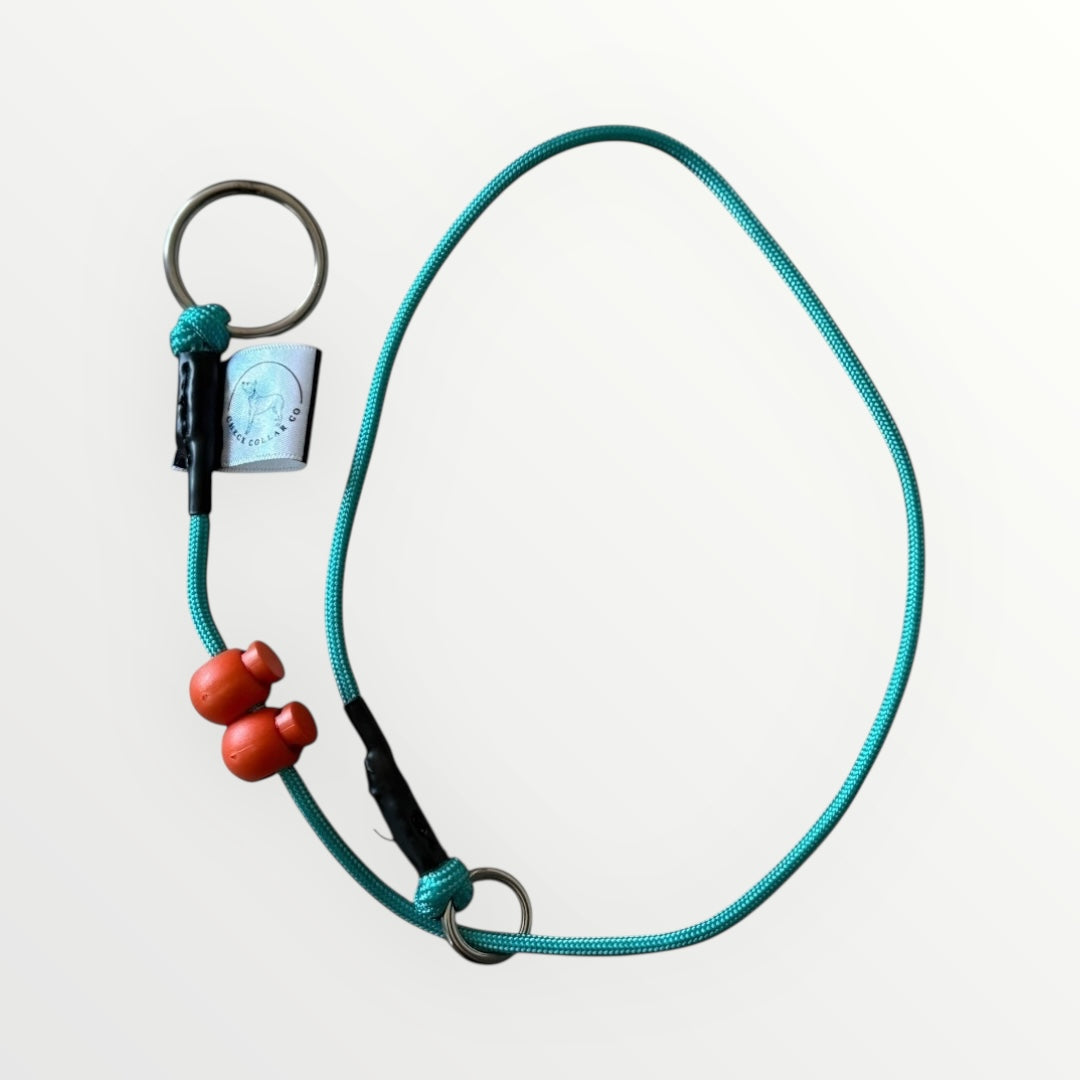 Turquoise Dog check collar / grot collar / slip collar / slip lead