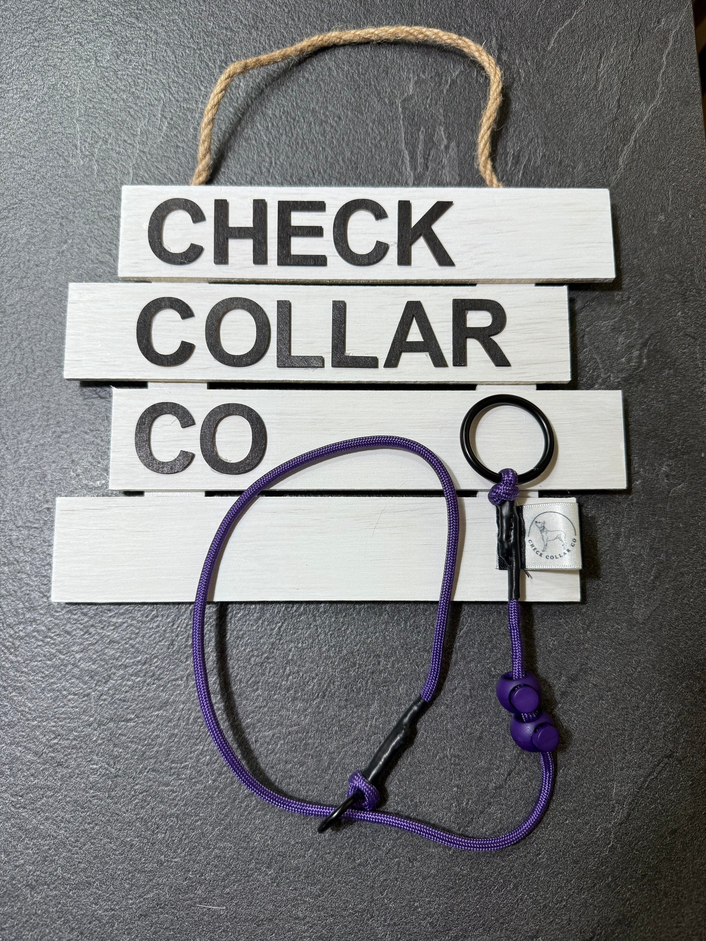 Purple Dog check collar / grot collar / slip collar / slip lead